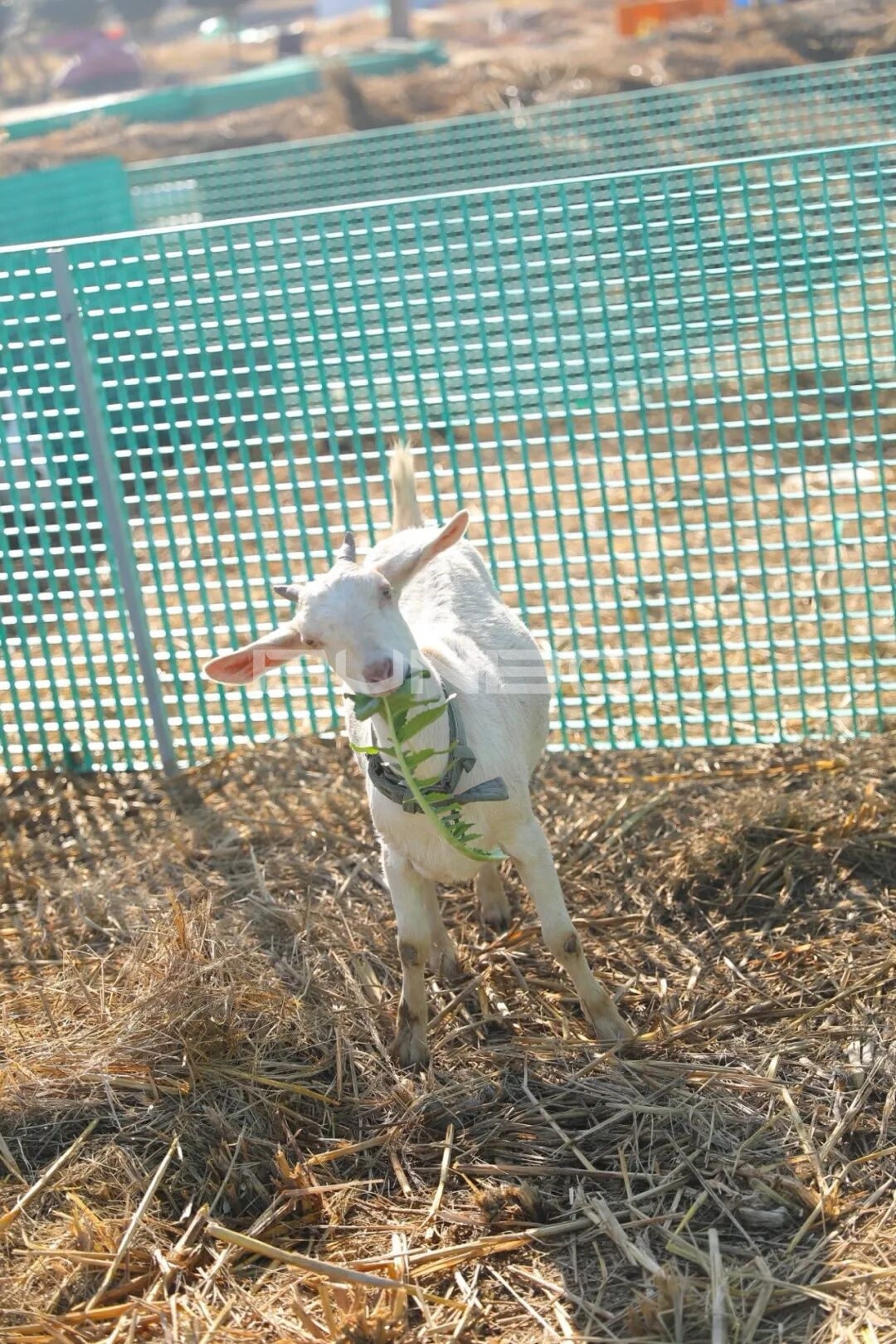 杭州农库草垛乐园