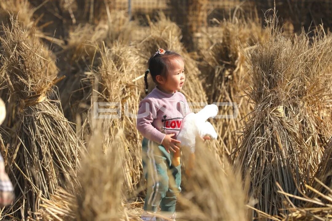 杭州农库草垛乐园