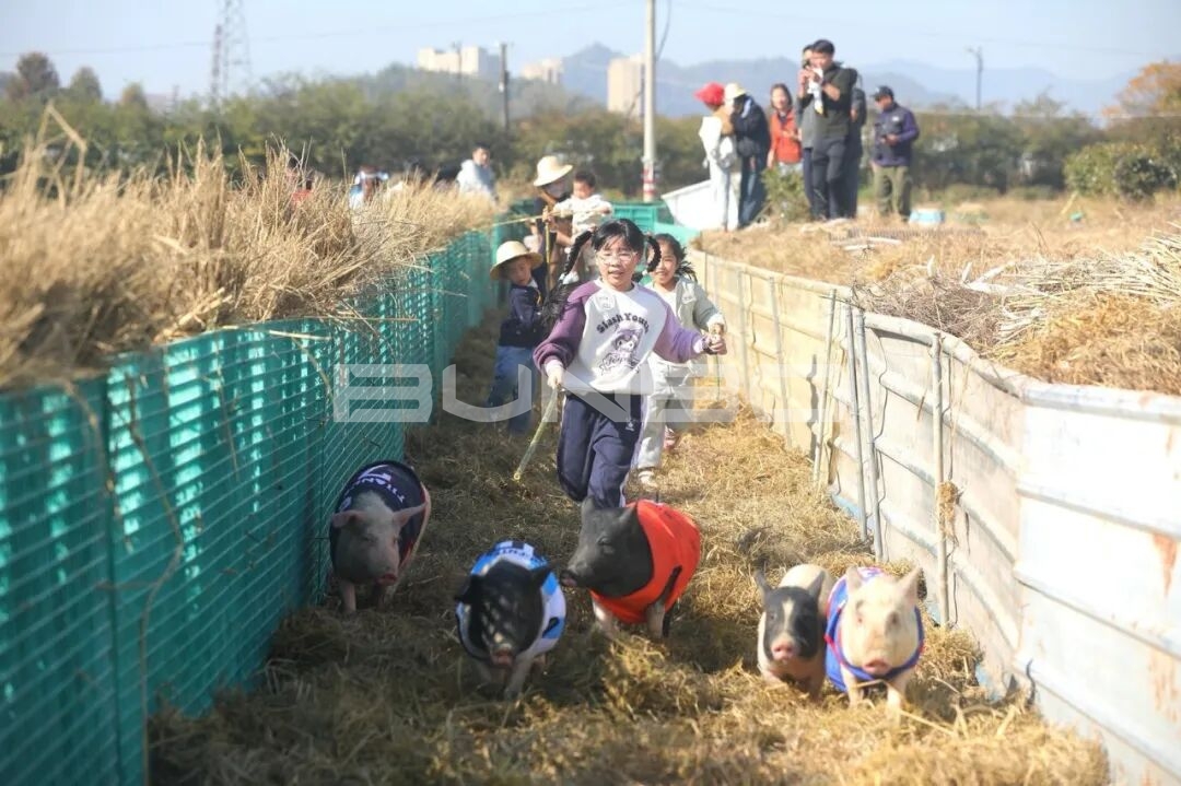 杭州农库草垛乐园