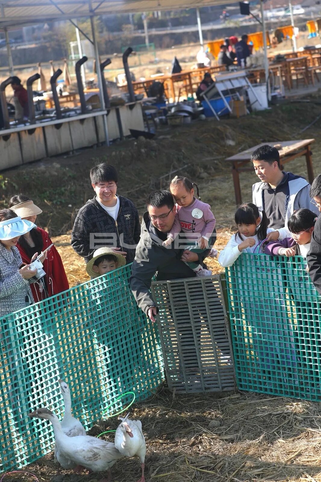 杭州农库草垛乐园