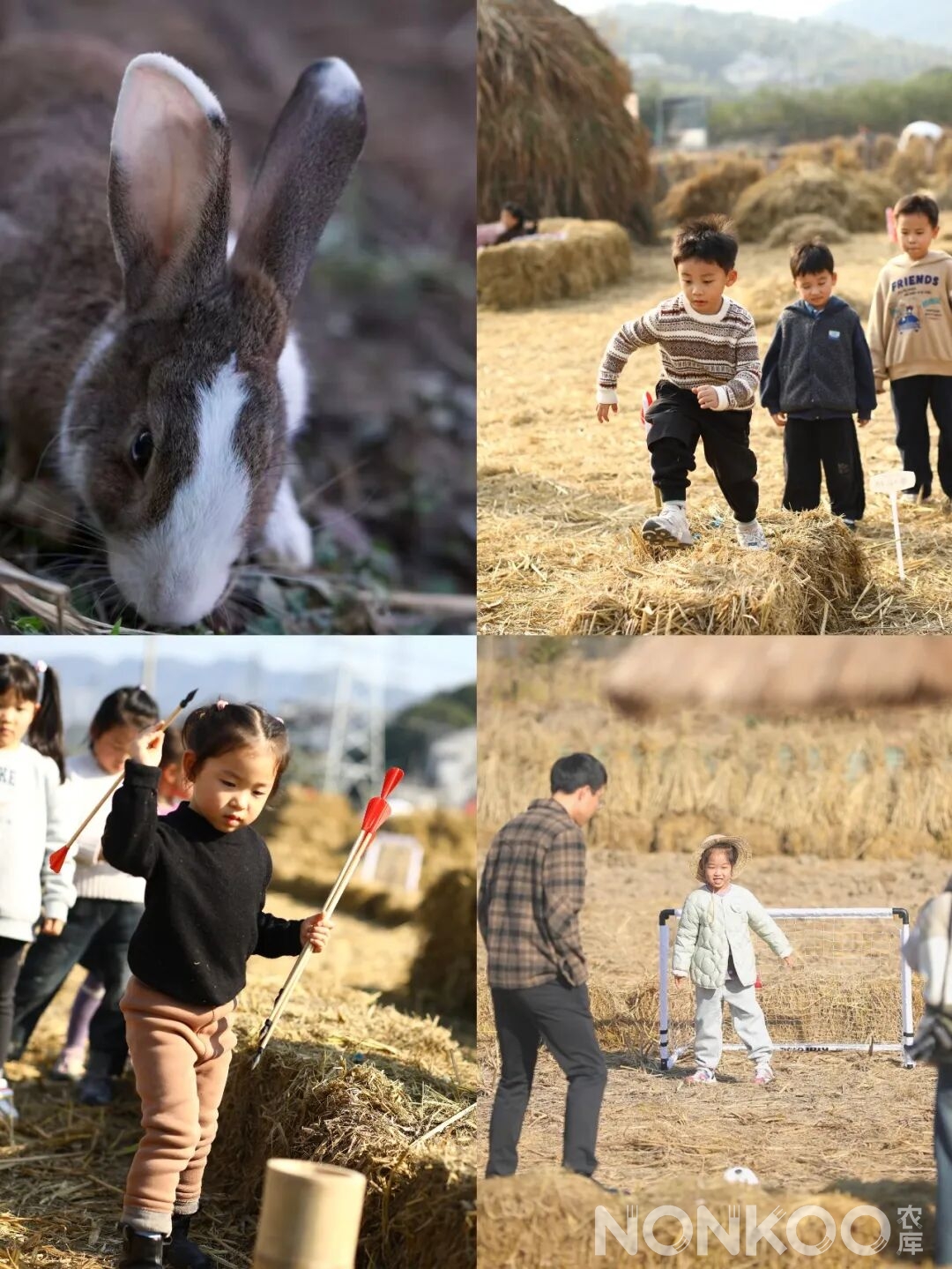 稻麦研学杭州春耕大典现场照片