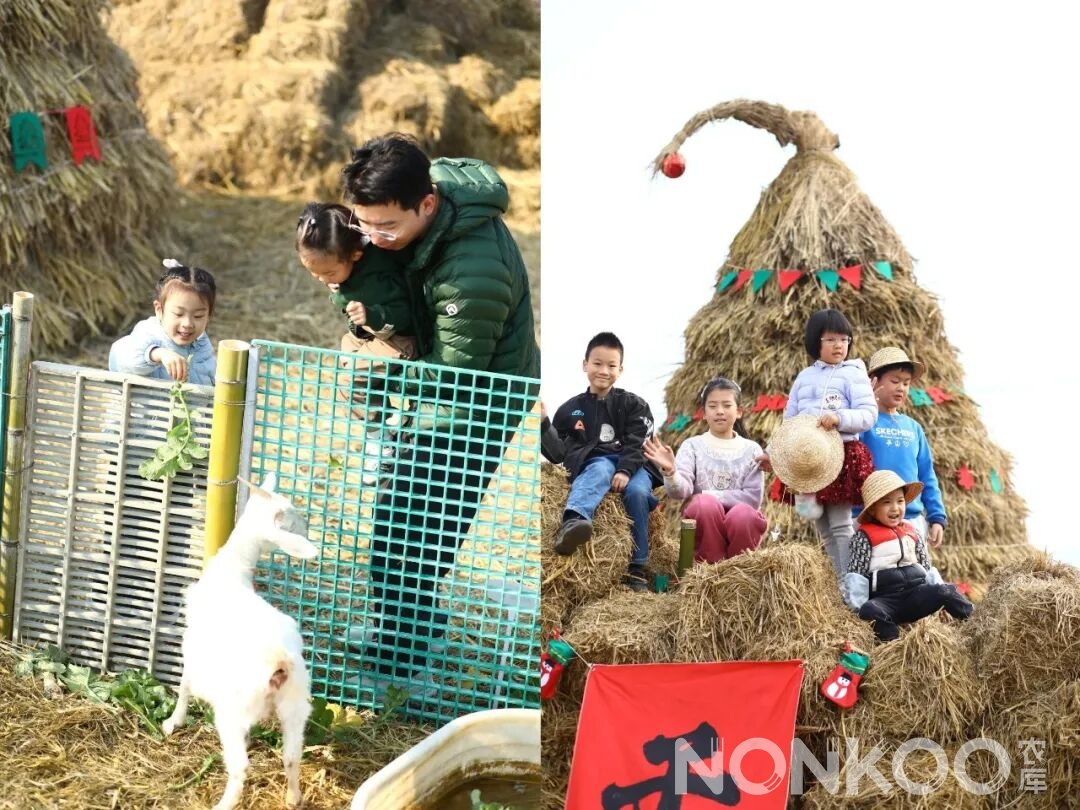 稻麦研学杭州春耕大典现场照片