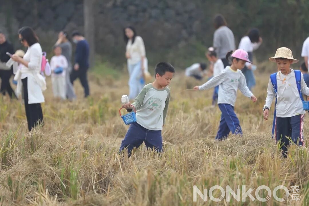 稻麦研学杭州春耕大典现场照片