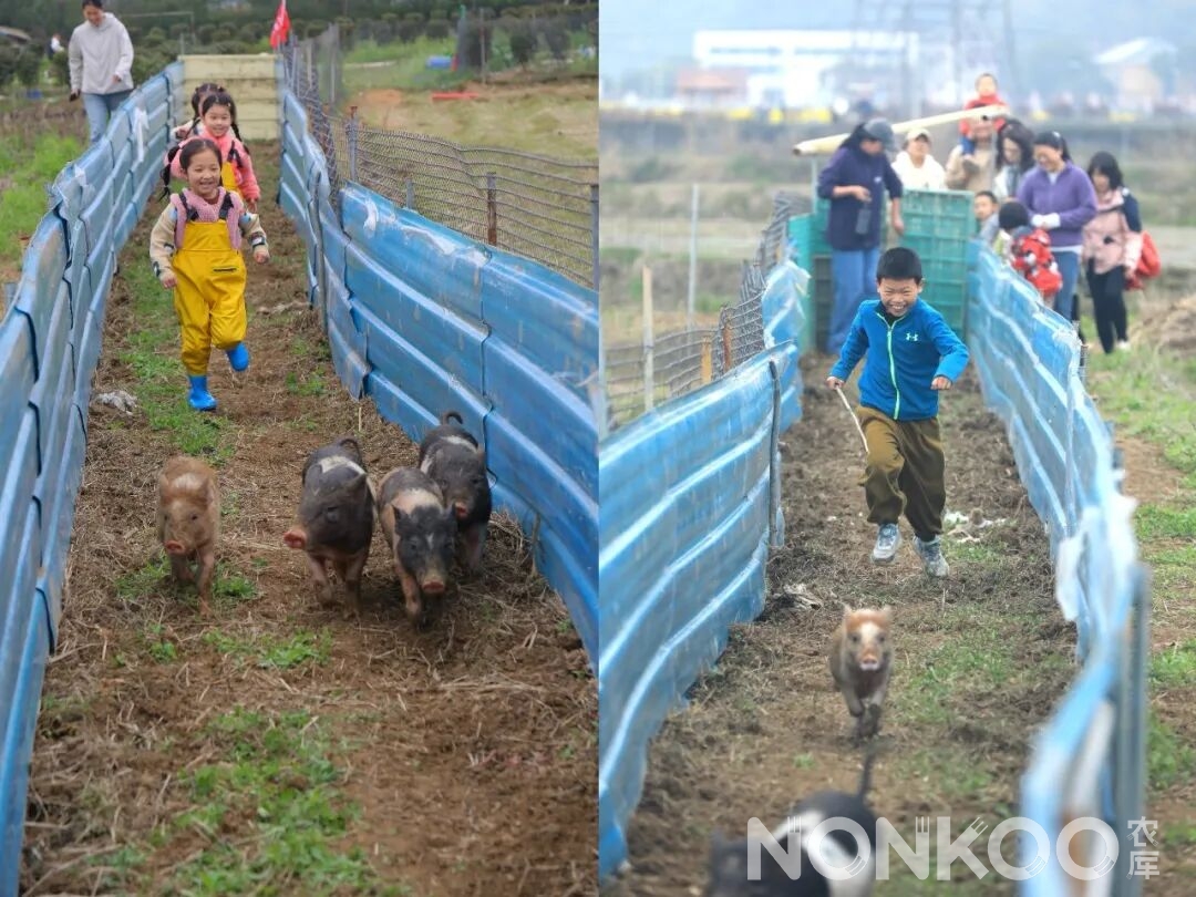 稻麦研学杭州春耕大典现场照片