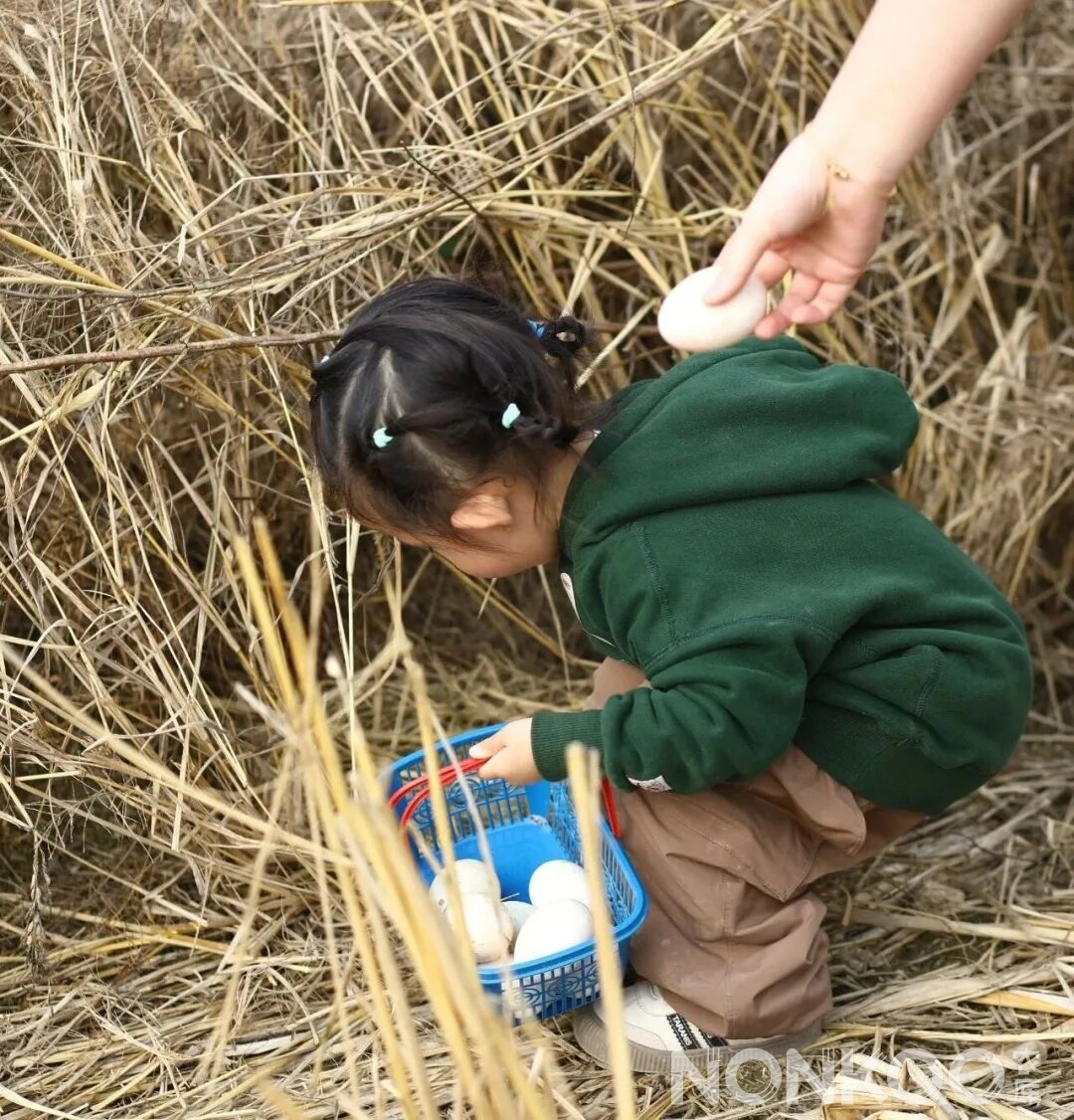 稻麦研学杭州春耕大典现场照片