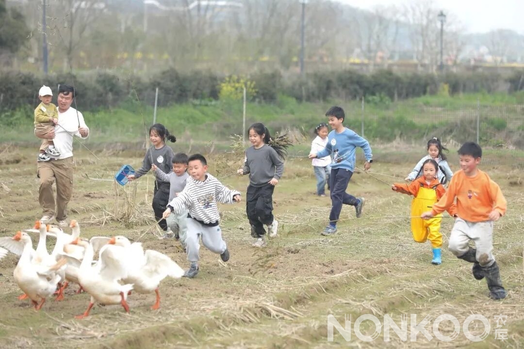 杭州稻麦研学春耕大典现场照片