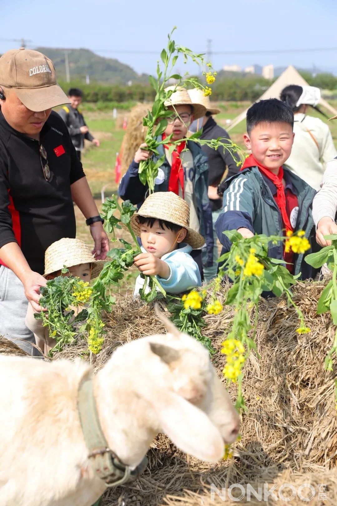杭州稻麦研学春耕大典现场照片
