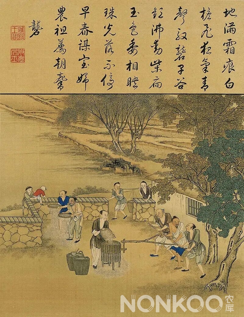 雍正《耕织图》故宫馆藏珍品