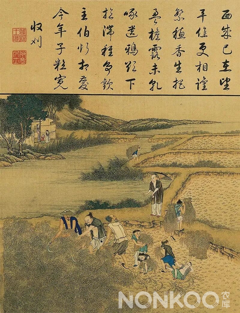 雍正《耕织图》故宫馆藏珍品