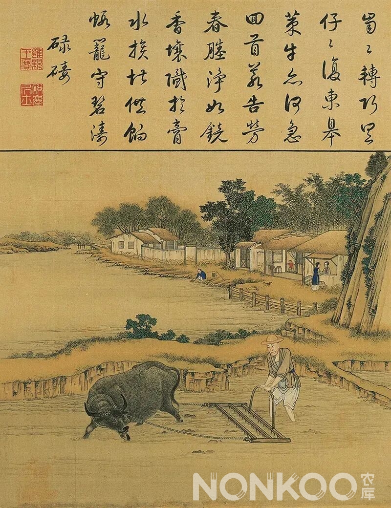 雍正《耕织图》故宫馆藏珍品