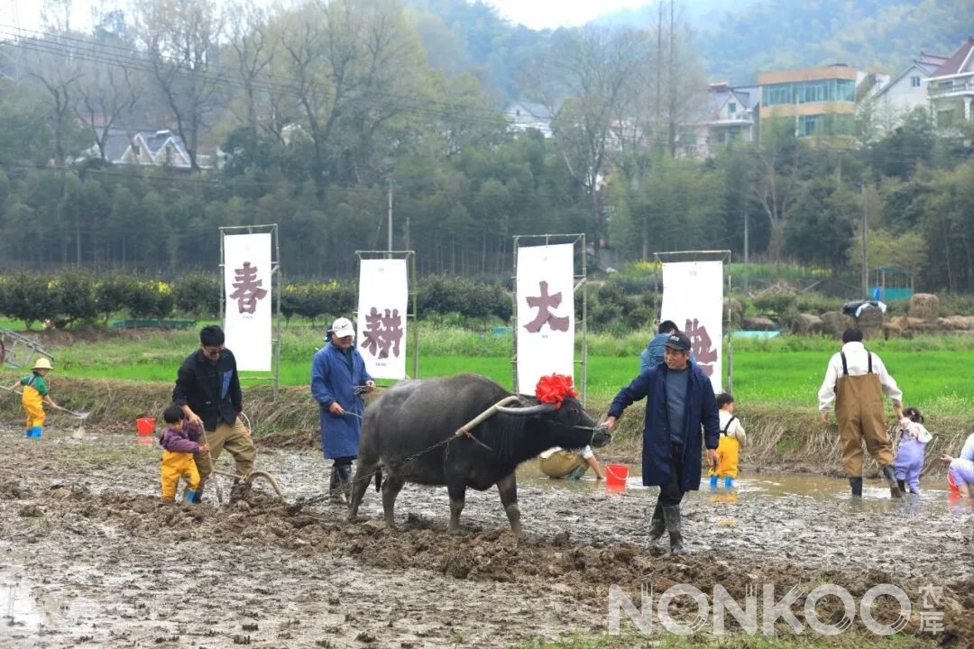 2026杭州稻麦研学第二季春耕大典