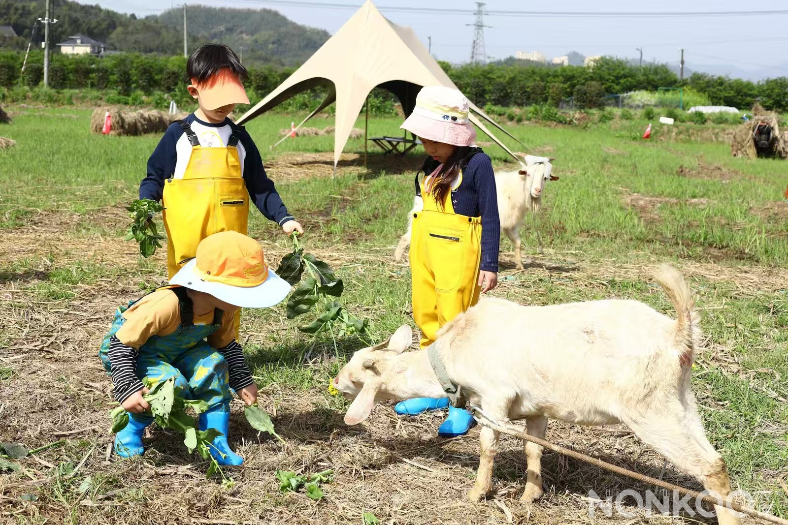 农库作物公园春耕大典
