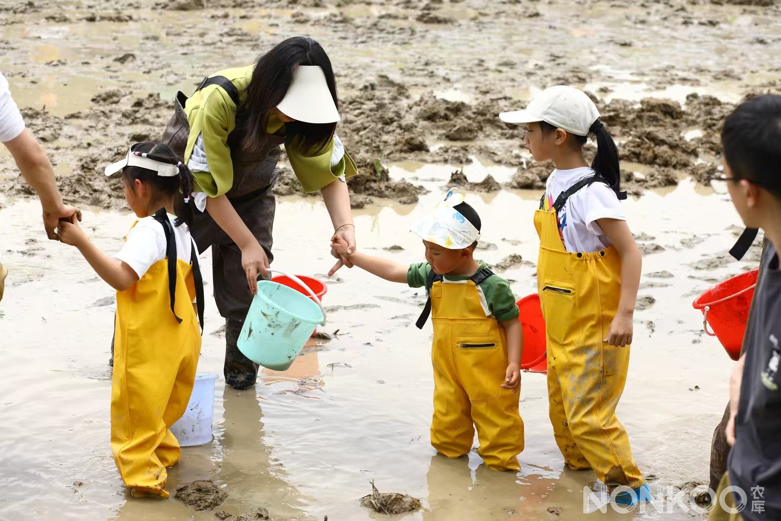 农库作物公园稻麦研学第二季
