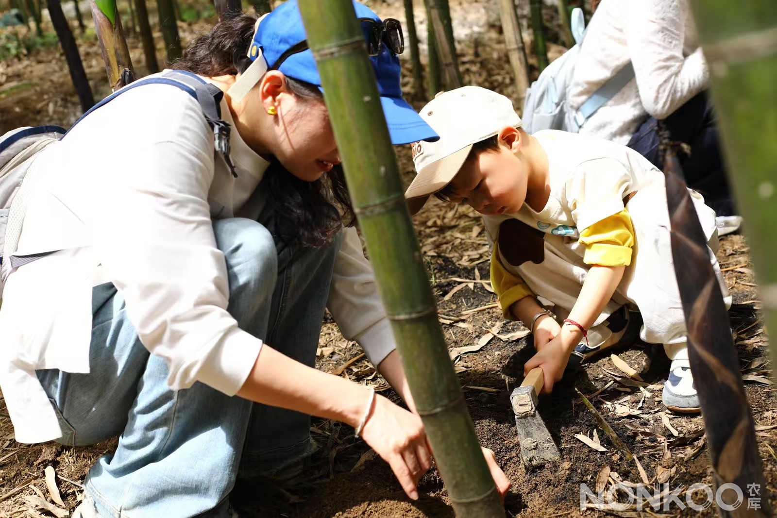 农库作物公园春耕大典
