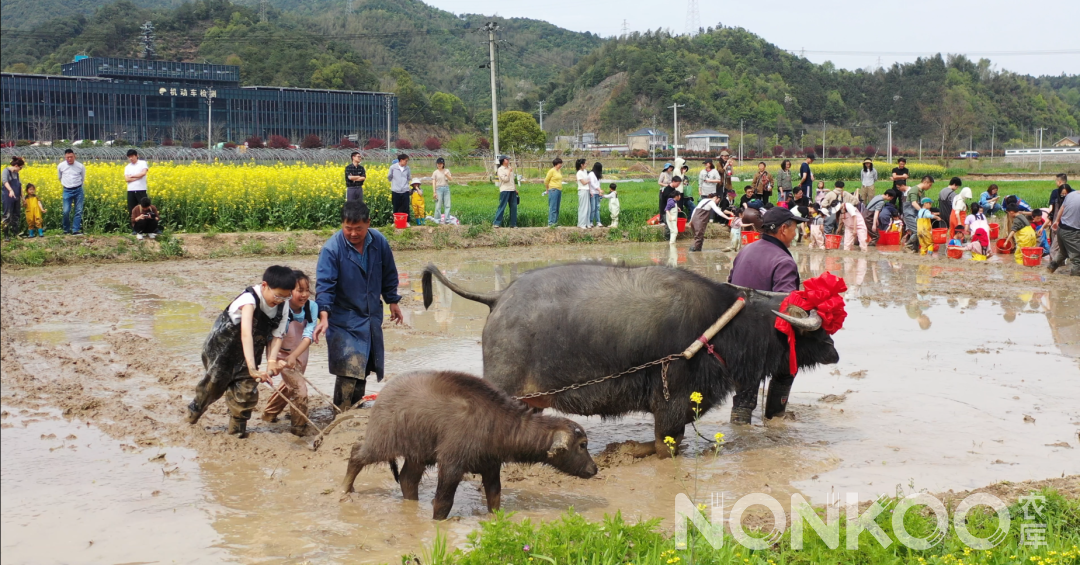 第一届杭州稻麦研学春耕大典