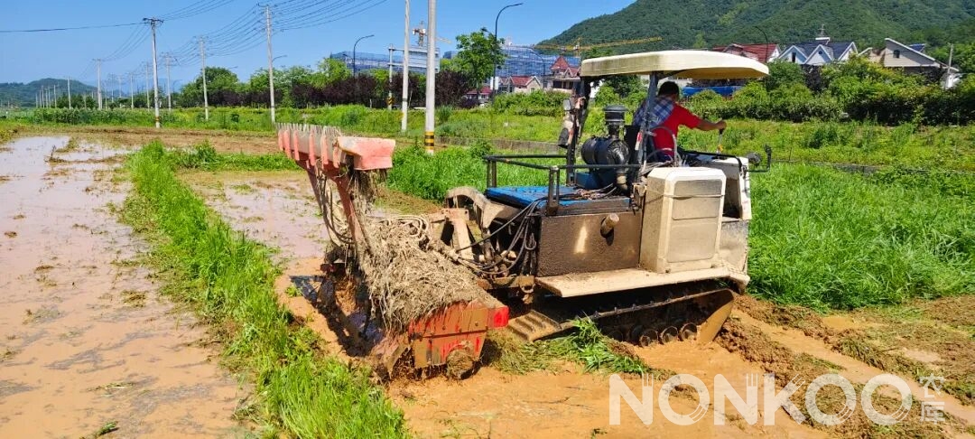 农库作物公园实景照片