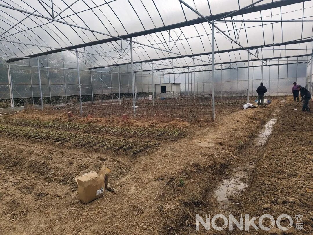 农库连栋大棚