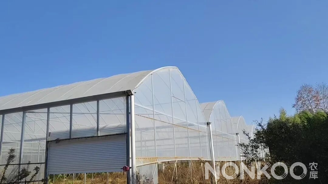 农库连栋大棚