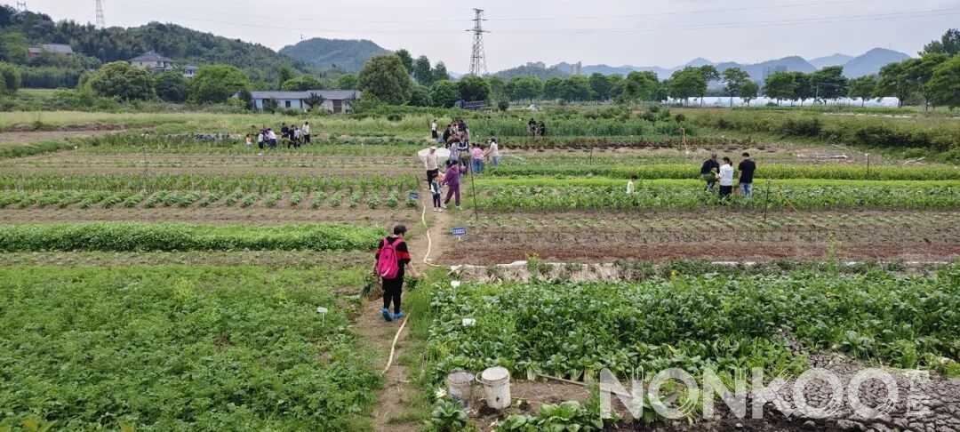 农库作物公园蔬菜基地