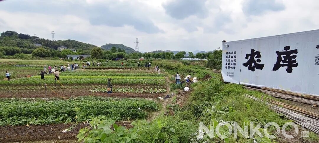 农库基地现场采摘