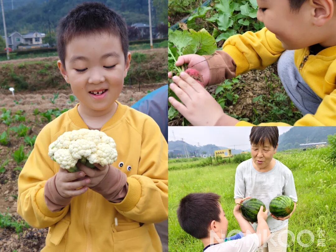 共享菜园里的家庭时光