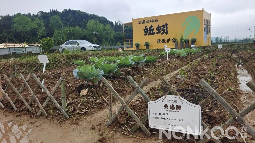 杭州共享菜园