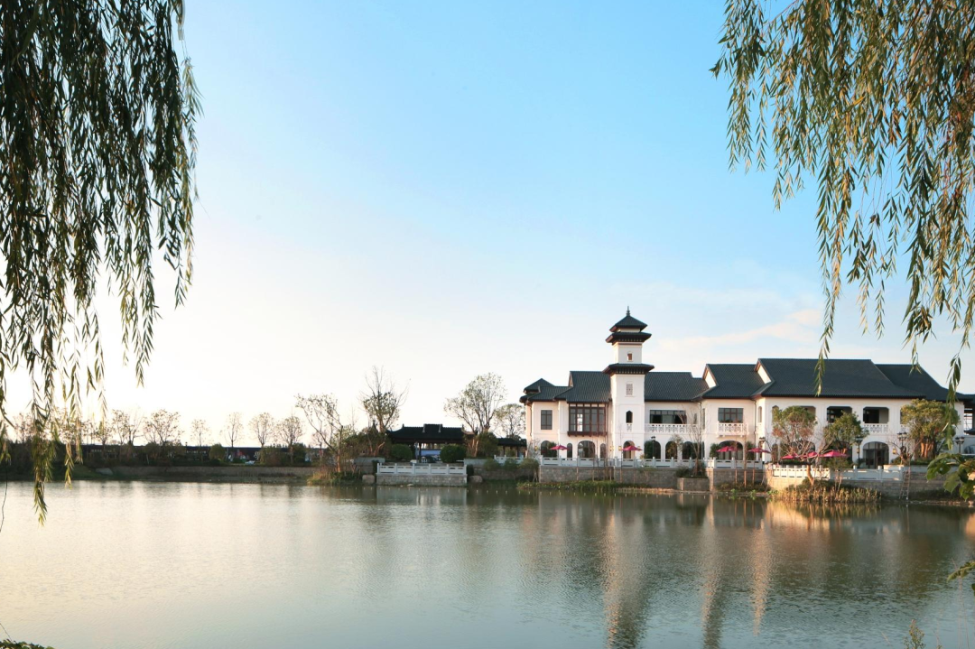 蓝城作品 (3).png 蓝城作品 (3).png