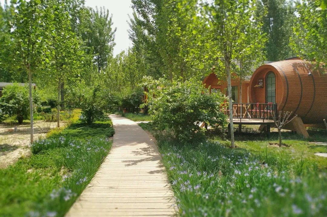 第什里风筝小镇 (4).jpg 第什里风筝小镇 (4).jpg