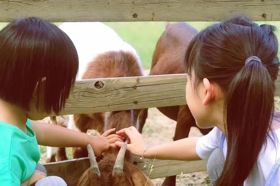 第什里风筝小镇 (6).jpg 第什里风筝小镇 (6).jpg