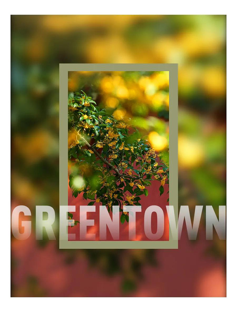 绿城凌波秋月 (1).jpg 绿城凌波秋月 (1).jpg