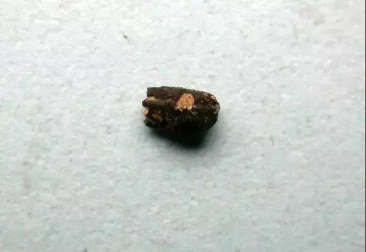 绿城桃源十里 (1).jpg 绿城桃源十里 (1).jpg