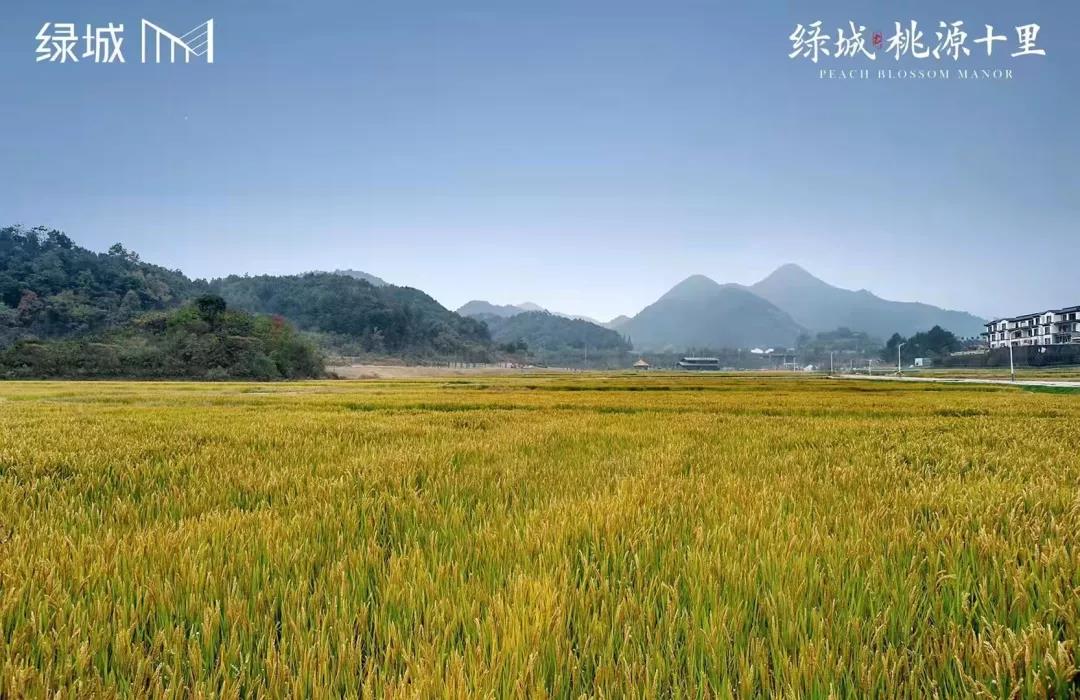 绿城桃源十里 (3).jpg 绿城桃源十里 (3).jpg
