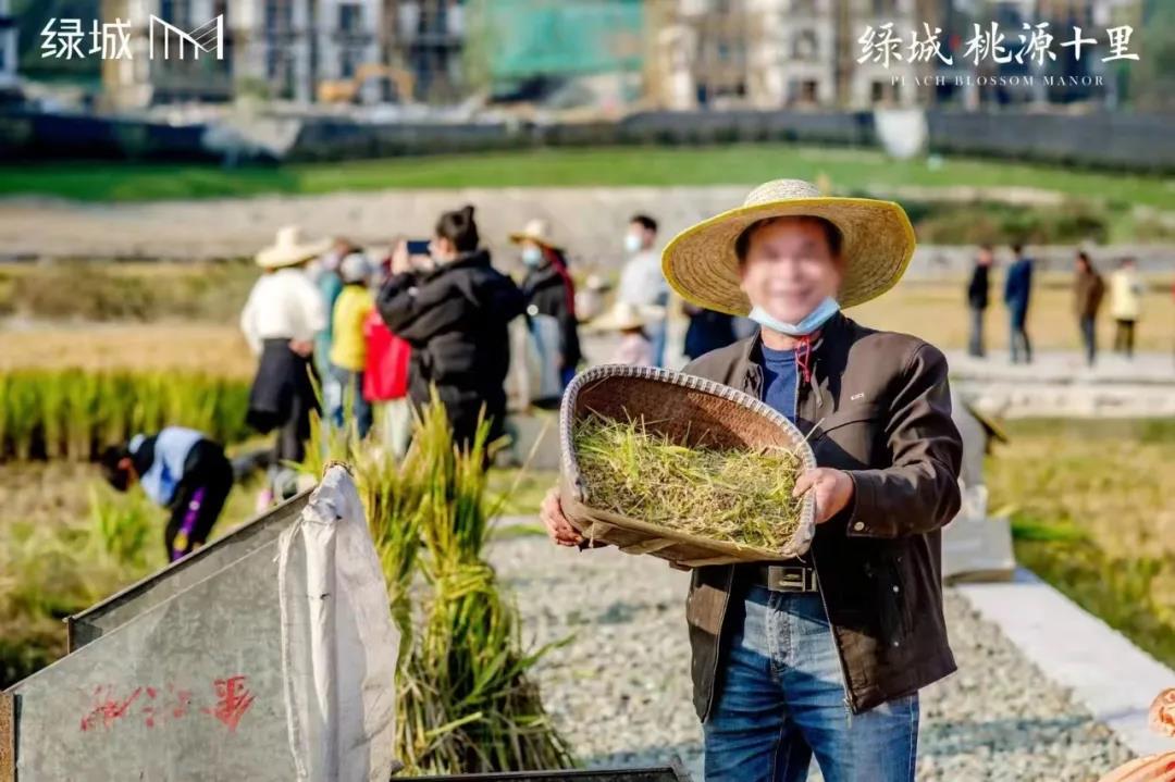 绿城桃源十里第一届丰收节 (2).jpg