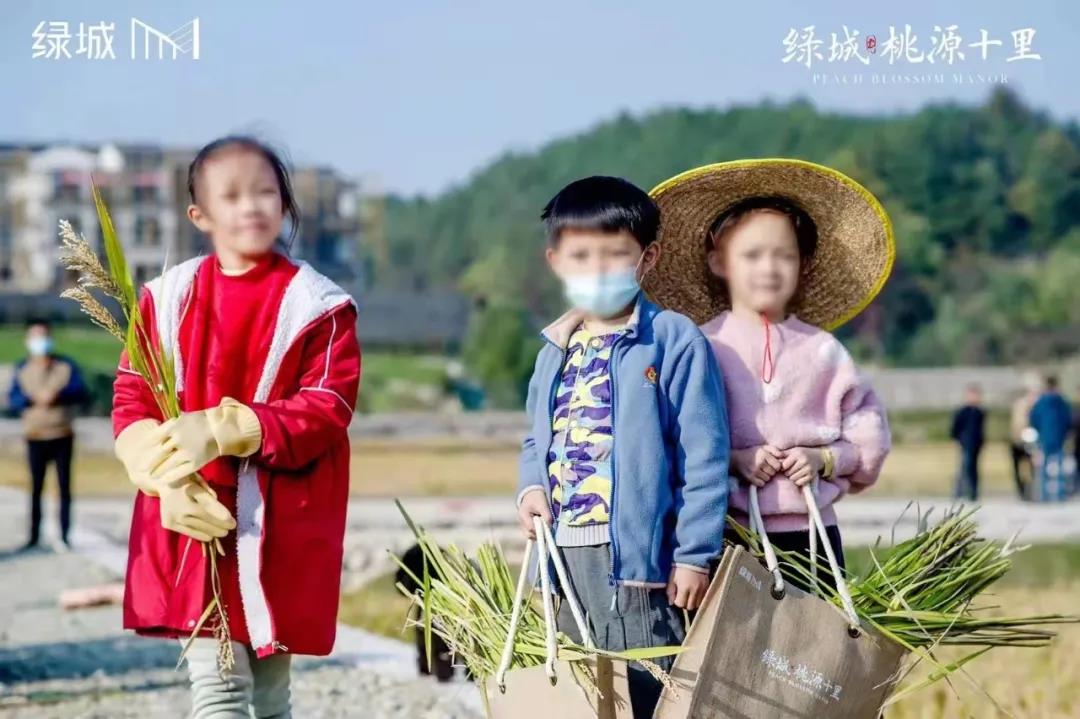 绿城桃源十里第一届丰收节 (1).jpg