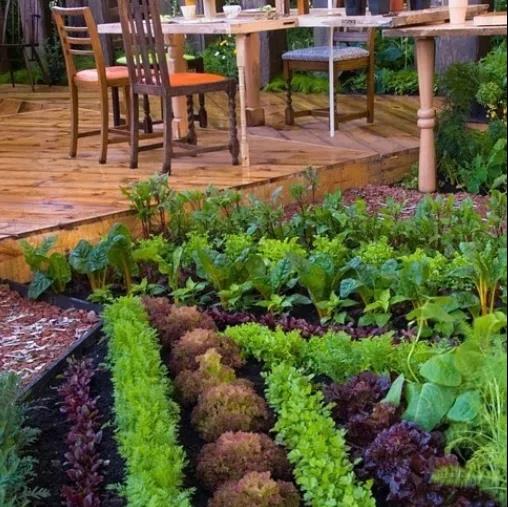 绿城桃源十里 (10).jpg