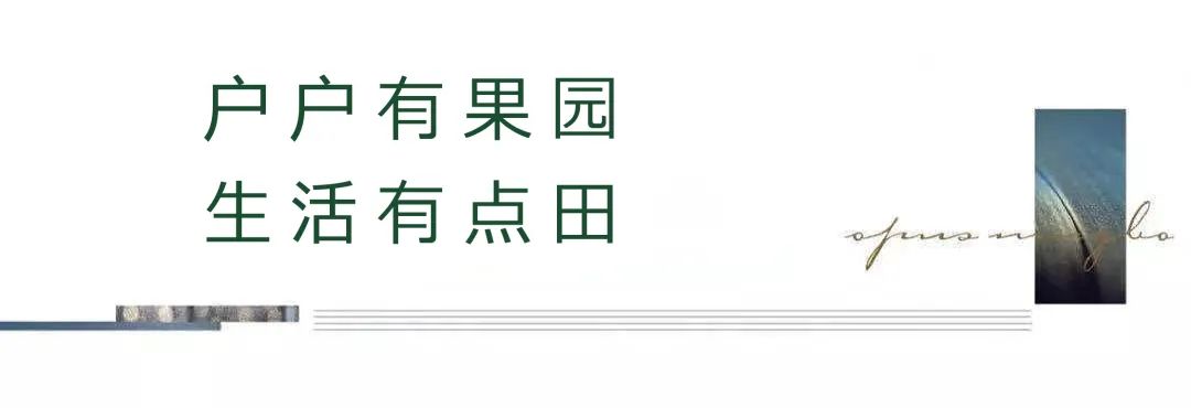 绿城桃源十里 (1).jpg 绿城桃源十里 (1).jpg