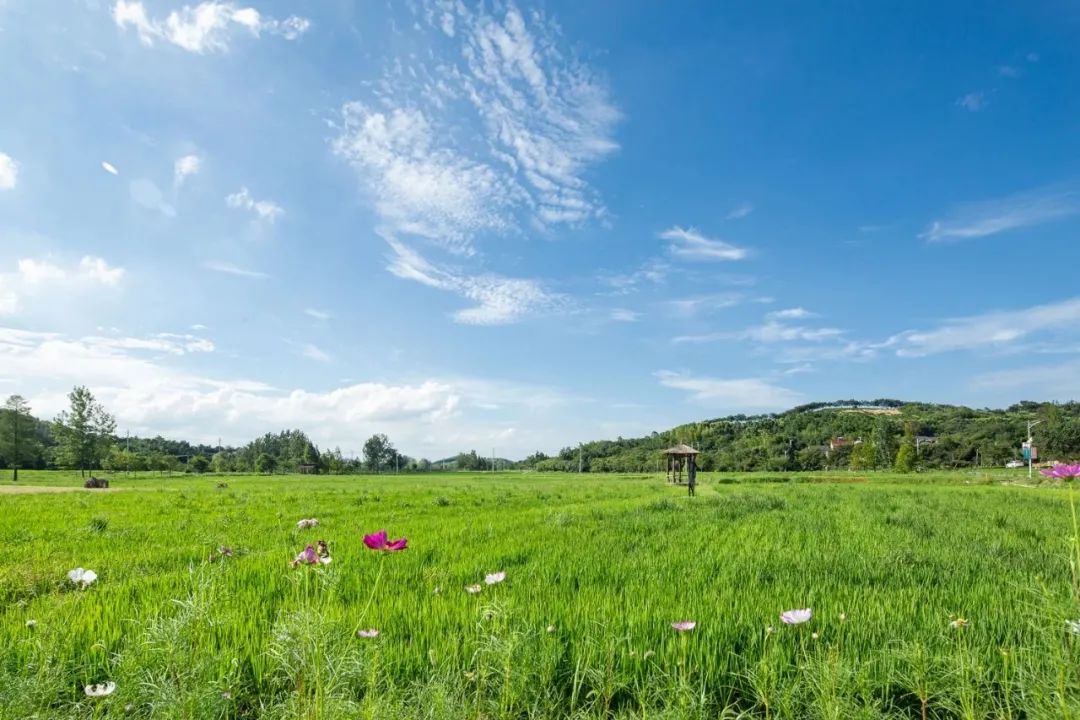 果园 (2).jpg 果园 (2).jpg