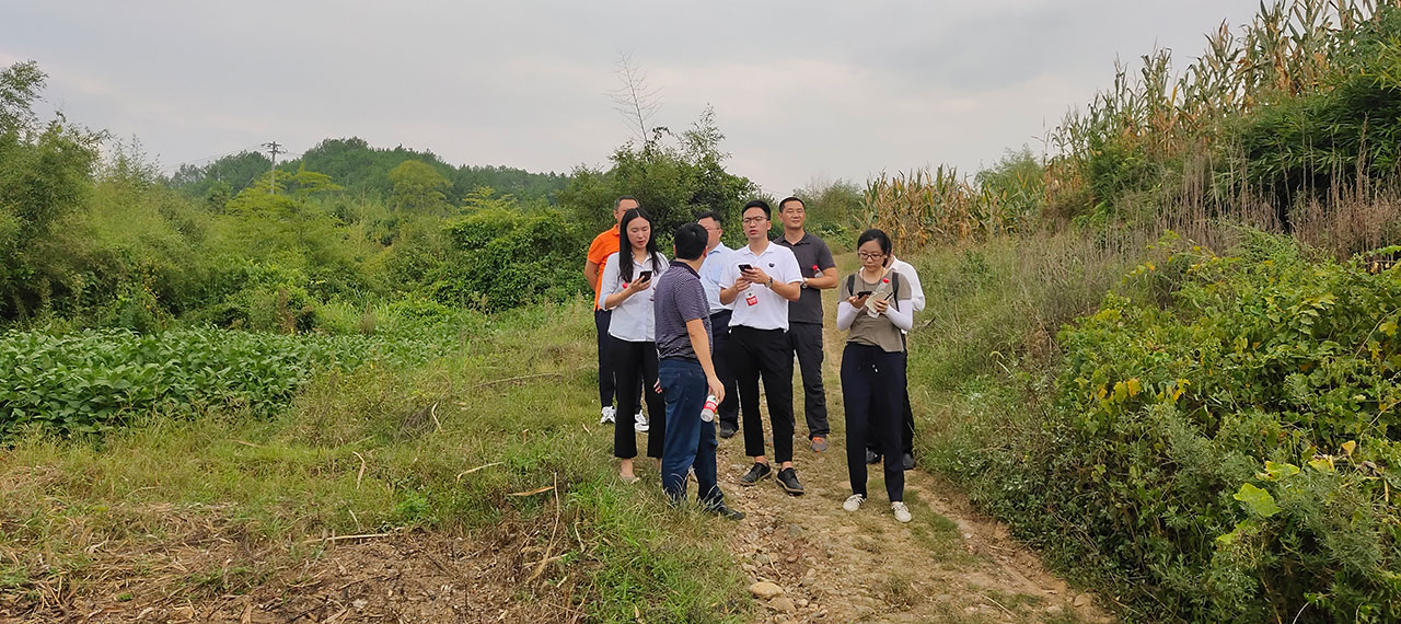 本埠小镇规划案组场地调研.jpg 本埠小镇规划案组场地调研.jpg