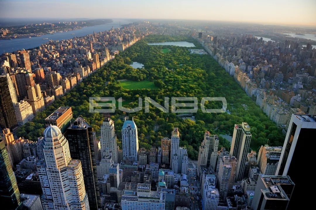 不计其数的纽约顶豪，围绕中央公园而生.jpg