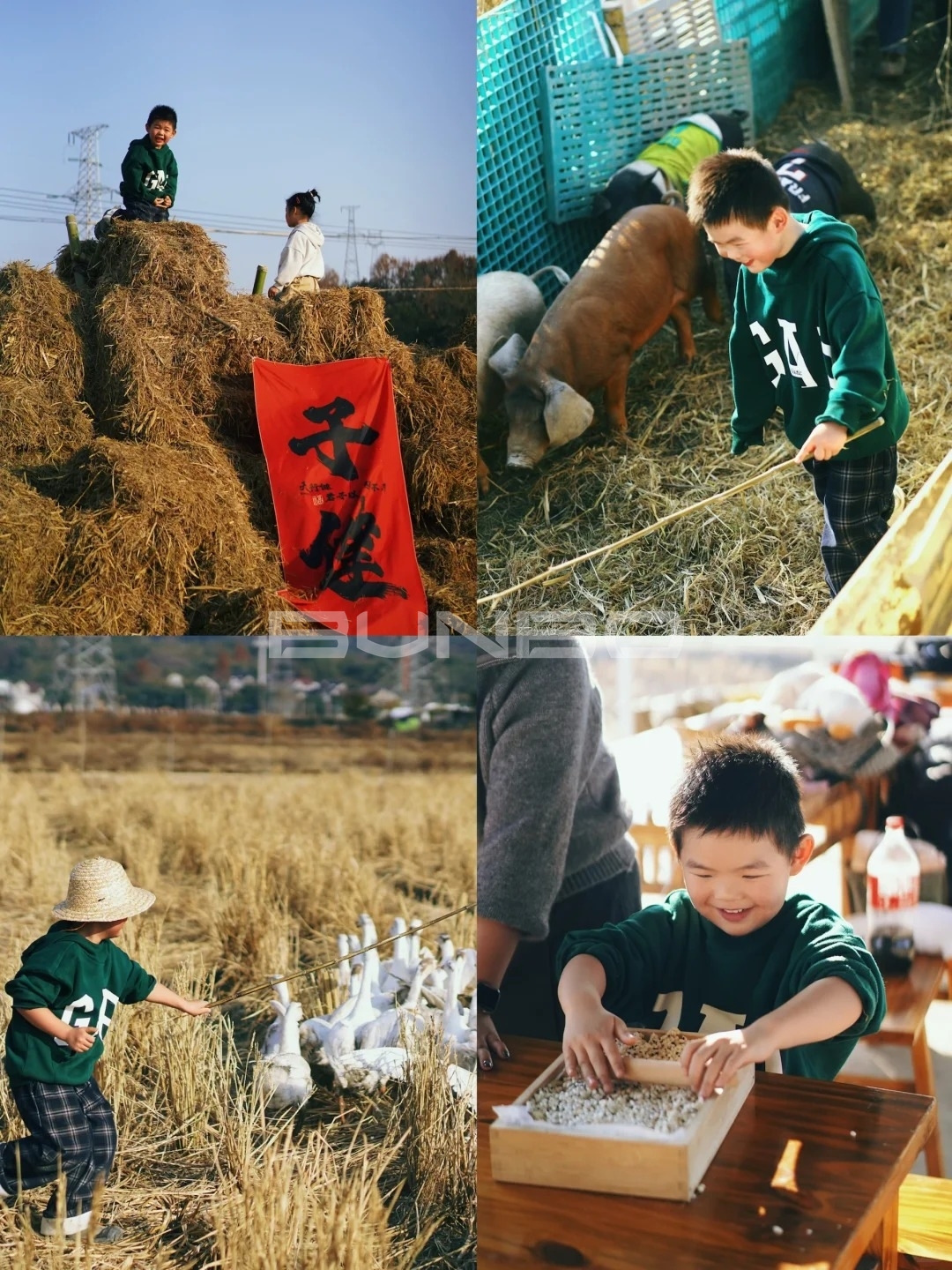 杭州遛娃|赶猪赶鸭做冻米糖 解锁草垛新玩法_1_椰果麻麻耶嗨嗨_来自小红书网页版.jpg 杭州遛娃|赶猪赶鸭做冻米糖 解锁草垛新玩法_1_椰果麻麻耶嗨嗨_来自小红书网页版.jpg
