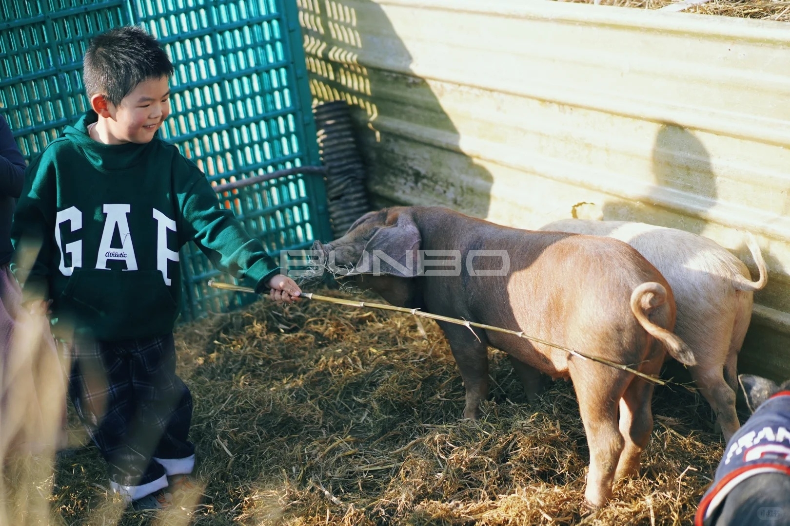 杭州遛娃|赶猪赶鸭做冻米糖 解锁草垛新玩法_3_椰果麻麻耶嗨嗨_来自小红书网页版.jpg 杭州遛娃|赶猪赶鸭做冻米糖 解锁草垛新玩法_3_椰果麻麻耶嗨嗨_来自小红书网页版.jpg