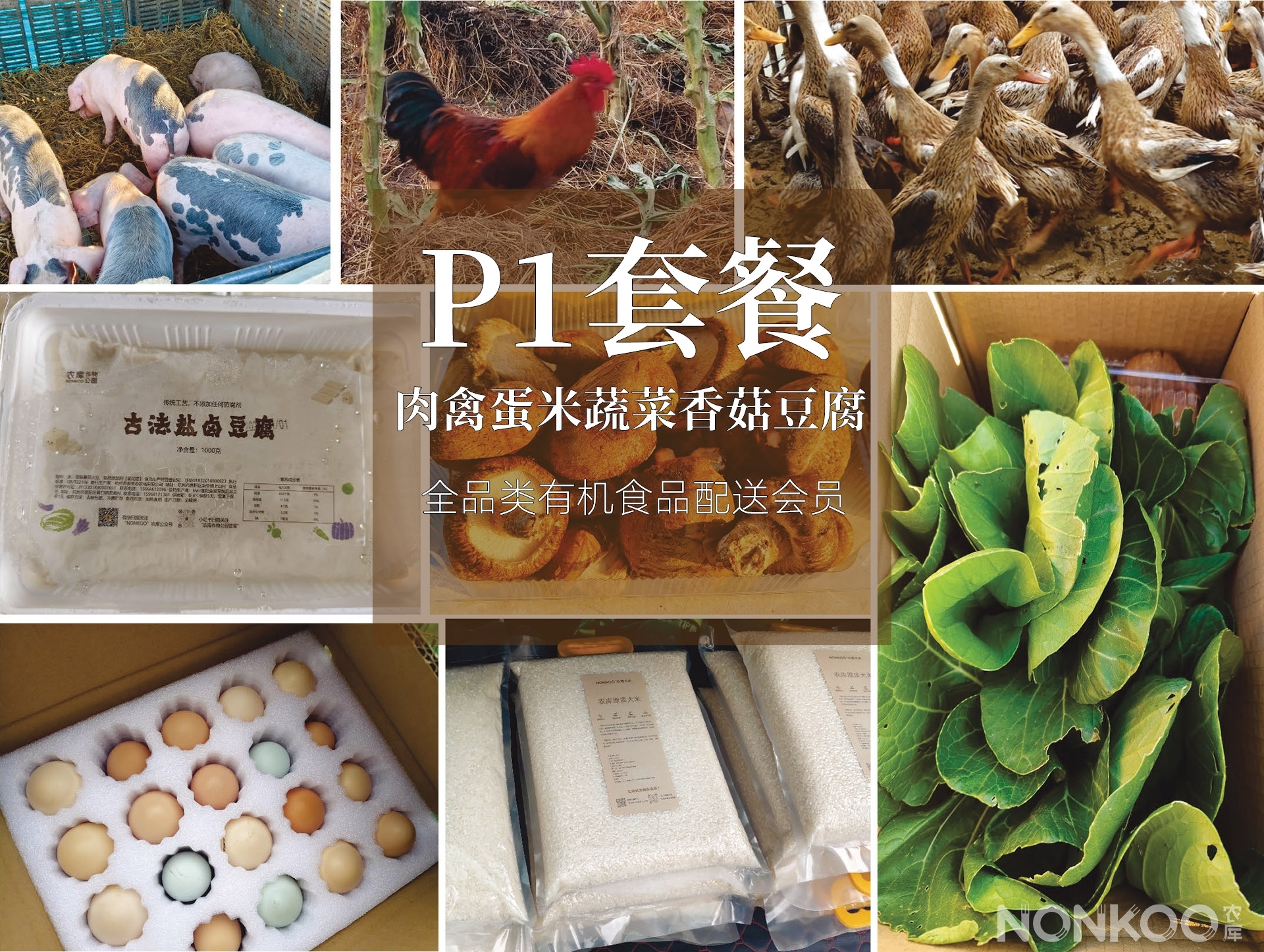 P1套餐：肉禽蛋米蔬菜香菇豆腐，全品类配送会员