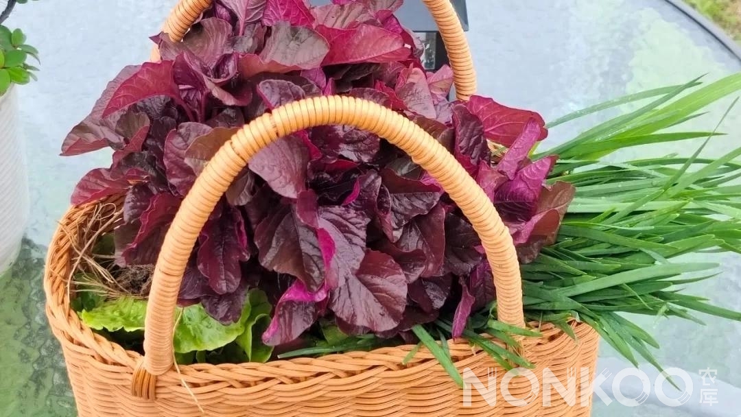 农库食材 农库食材