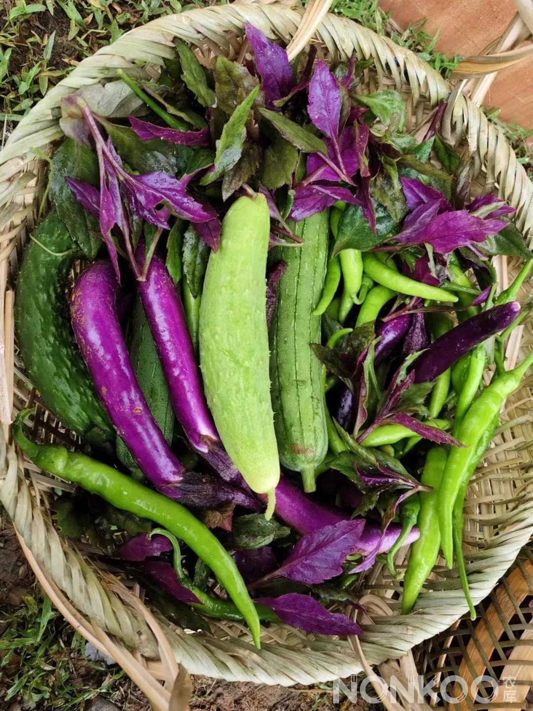 农库食材 农库食材