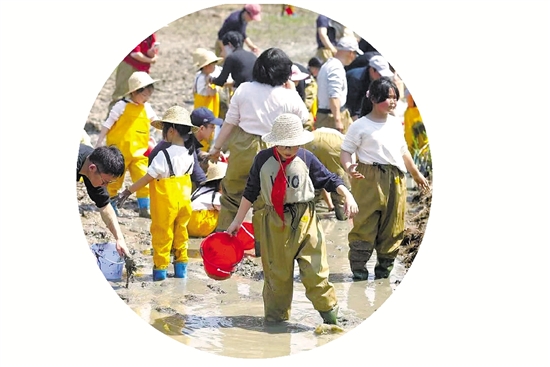 孩子们参加农库的研学活动