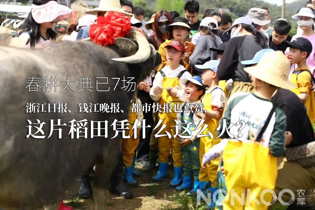 2026春耕大典已7场.jpg 2026春耕大典已7场.jpg