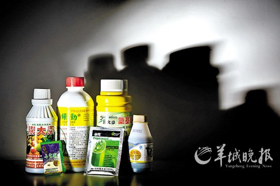 “植物激素”被广泛应用于农业生产中