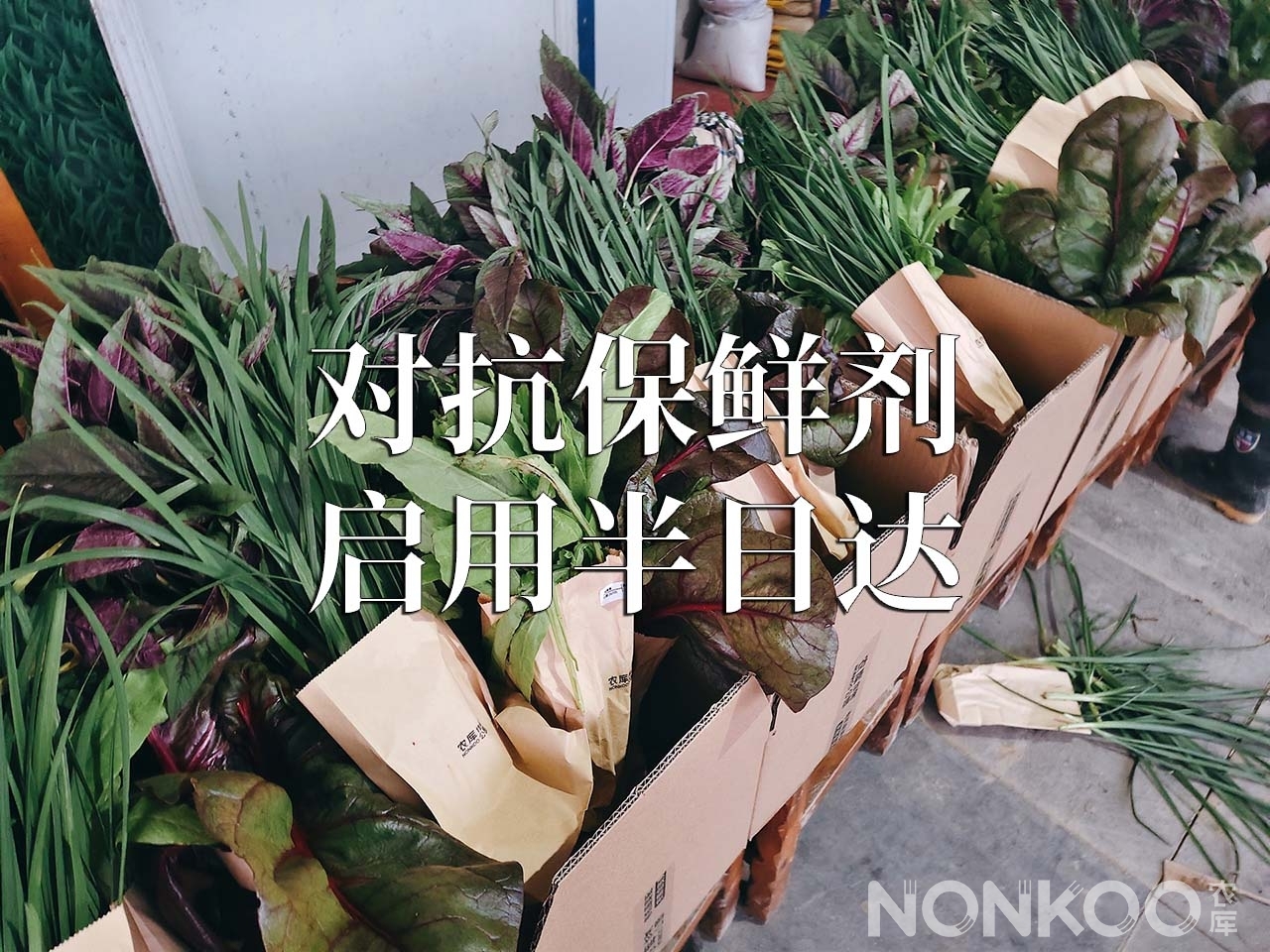 对抗保鲜剂,启动半日达 对抗保鲜剂,农库启动生鲜半日达